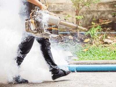 About Marietta German Roach Pros - german roach extermination marietta ga experts in Marietta