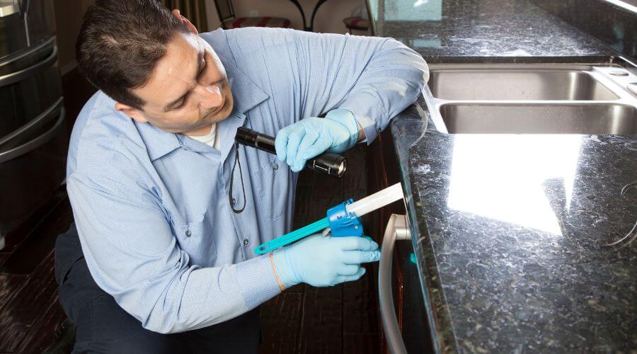 Professional german roach extermination marietta ga services in Marietta - Marietta German Roach Pros
